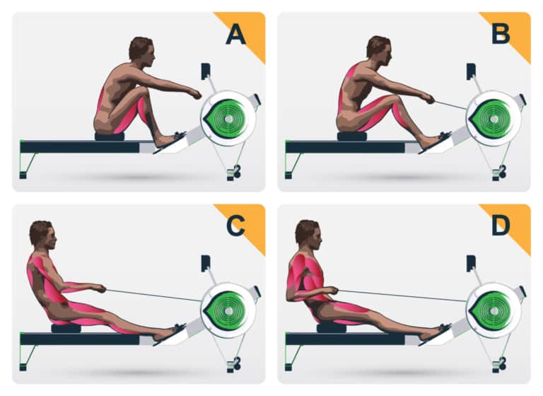 The Ultimate Guide On How To Use A Rowing Machine