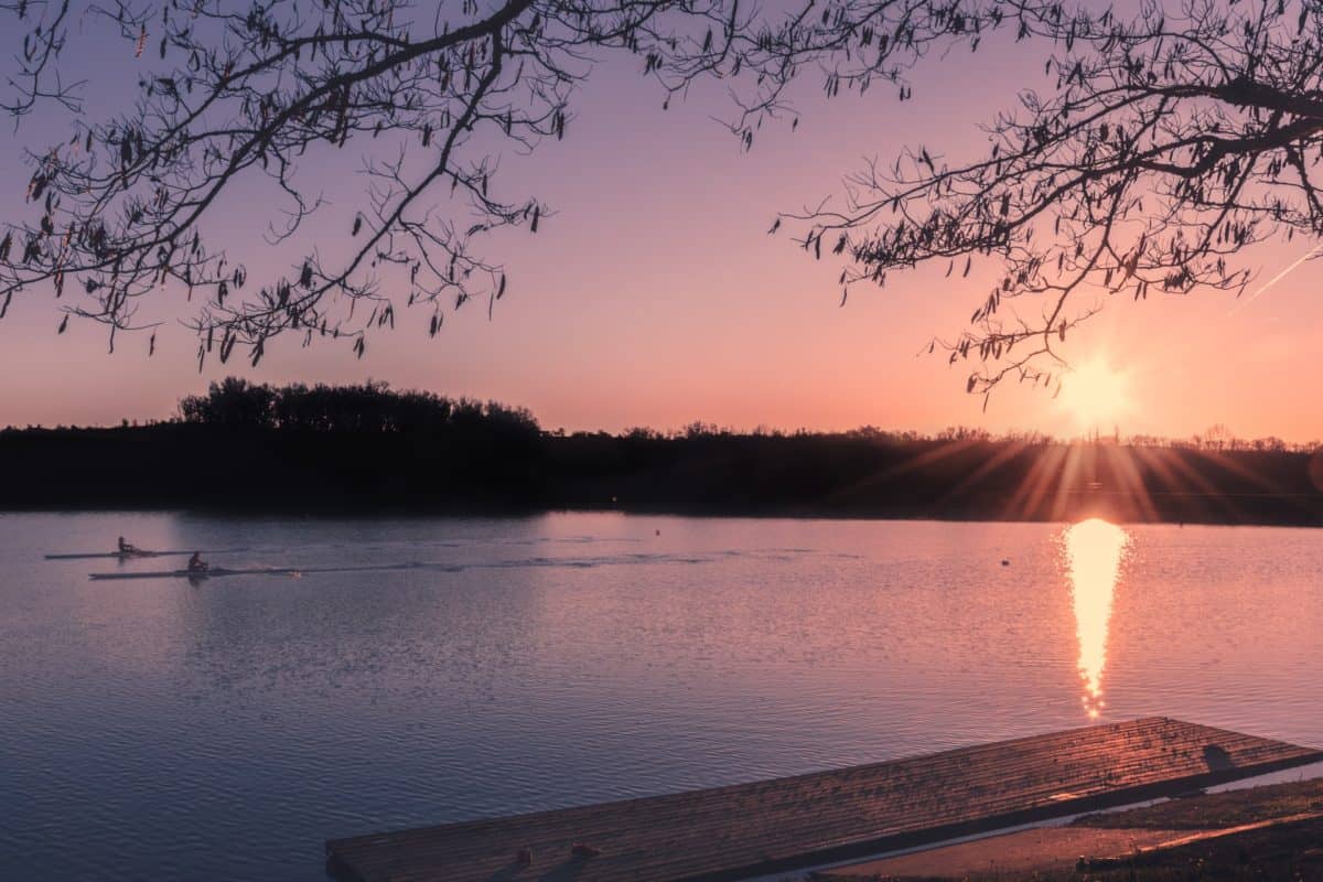 People rowing at sunset
