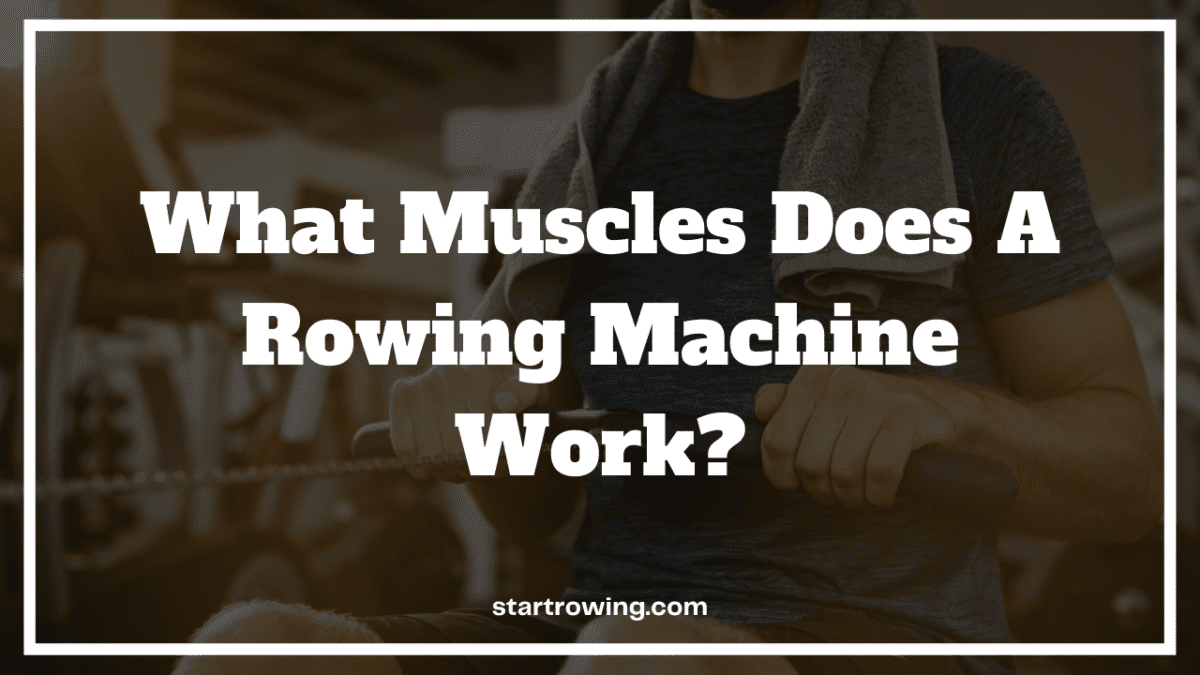 What muscles do rowers work featured image